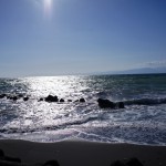 神奈川ブロック協議会20120204_24