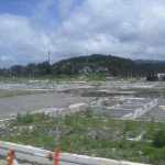 _友好JC共同事業 (77) _友好JC共同事業 (77)