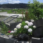 _友好JC共同事業 (83) _友好JC共同事業 (83)