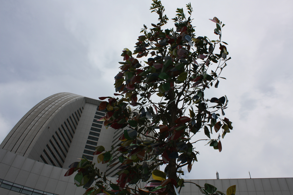 ヨコハマMDGsパーク